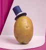 Avatar du membre