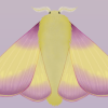 Avatar du membre
