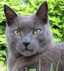 Avatar du membre